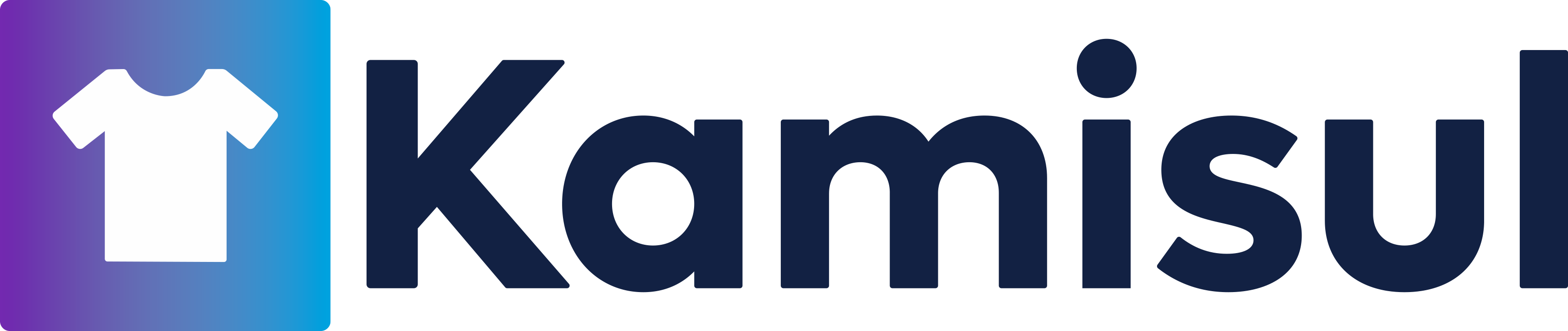 kamisul